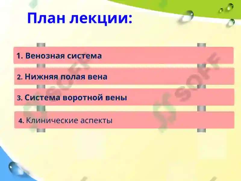 Клиническая анатомия вен и лимфатических сосудов брюшной полости 2