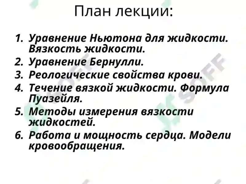 Физические основы кровеносной системы 2