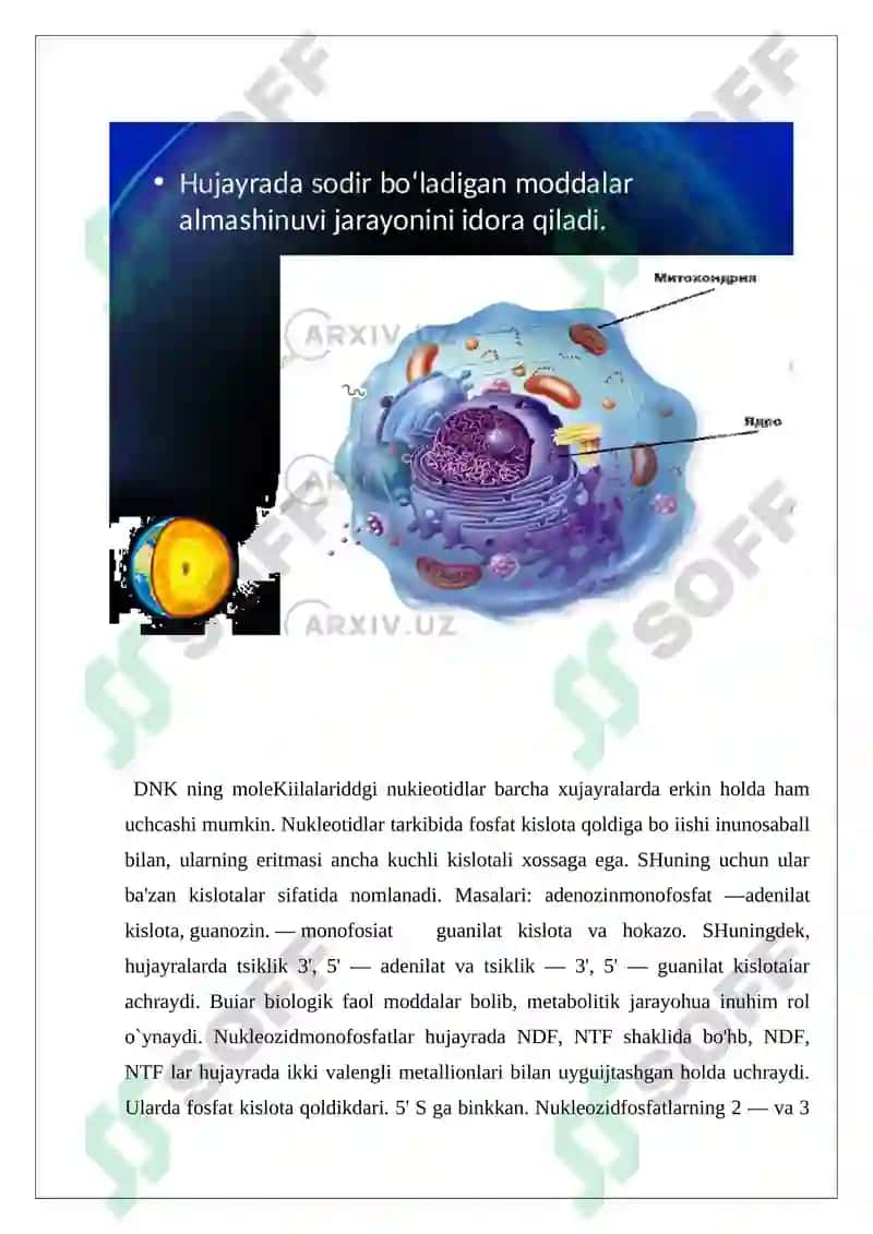 Hujayra proliferatsiyasi muommolarining tibbiyotdagi ro’li 2