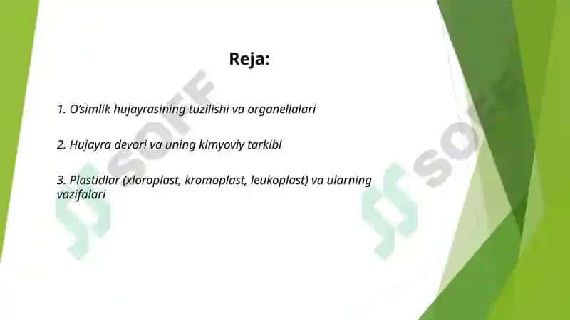 O’simliklarning hayotiy shakillari Tuban  o’simliklar 2