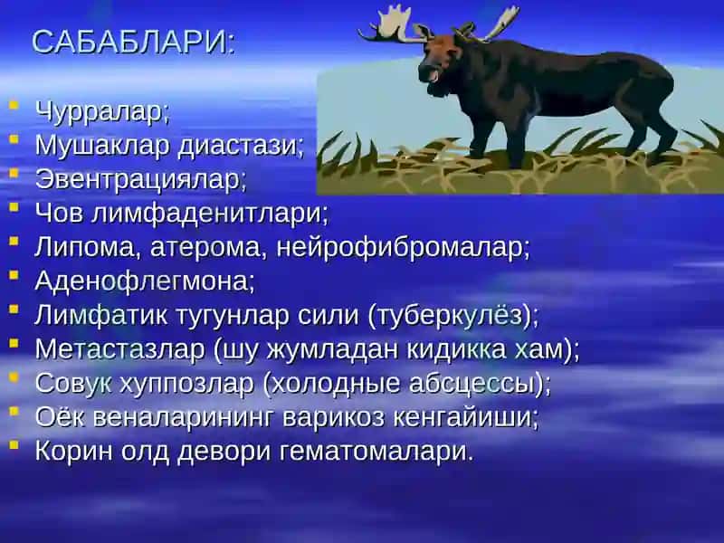 Корин олд девори касаликлари корин олди мускуллари аплозияси 2