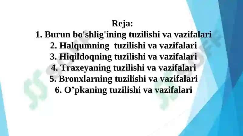 NAFAS OLISH ORGANLARINING TUZILISHI 2