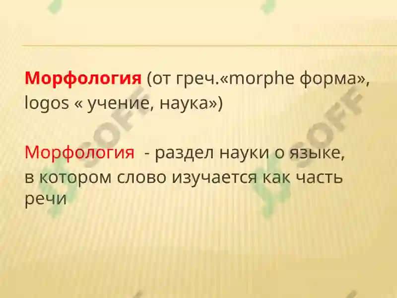 ИМЯ СУЩЕСТВИТЕЛЬНОЕ 2