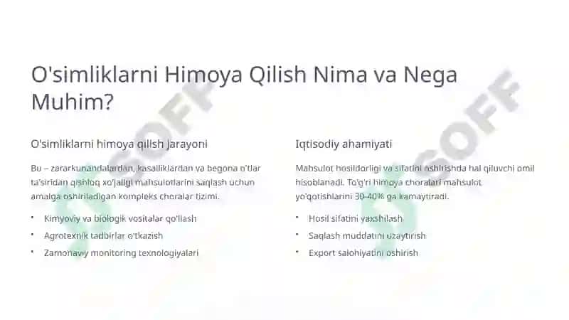 O'simliklarni Himoya Qilish Xarajatlarining Mahsulot Narxiga Ta'siri 2