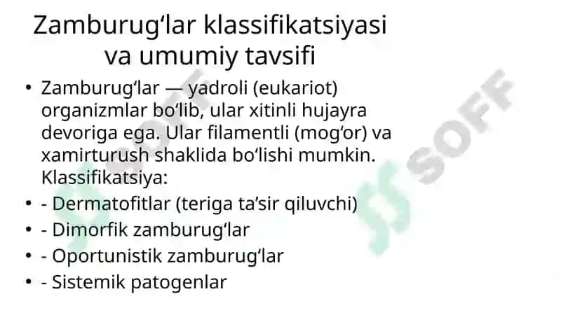 Mikozlar haqida umumiy tushuncha 2