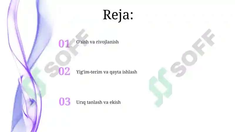 Paxta qòzichoq 2