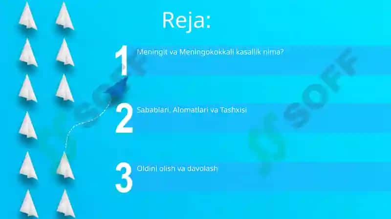 Meningit va meningokokk kasalliklari 2