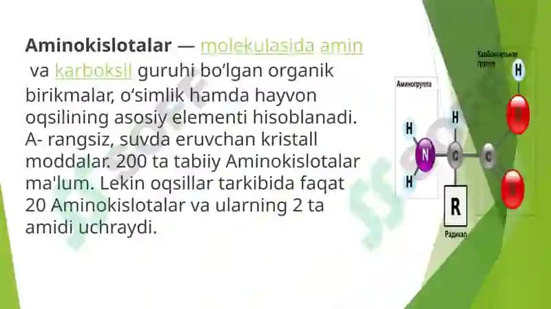 Aminokislotalar 2