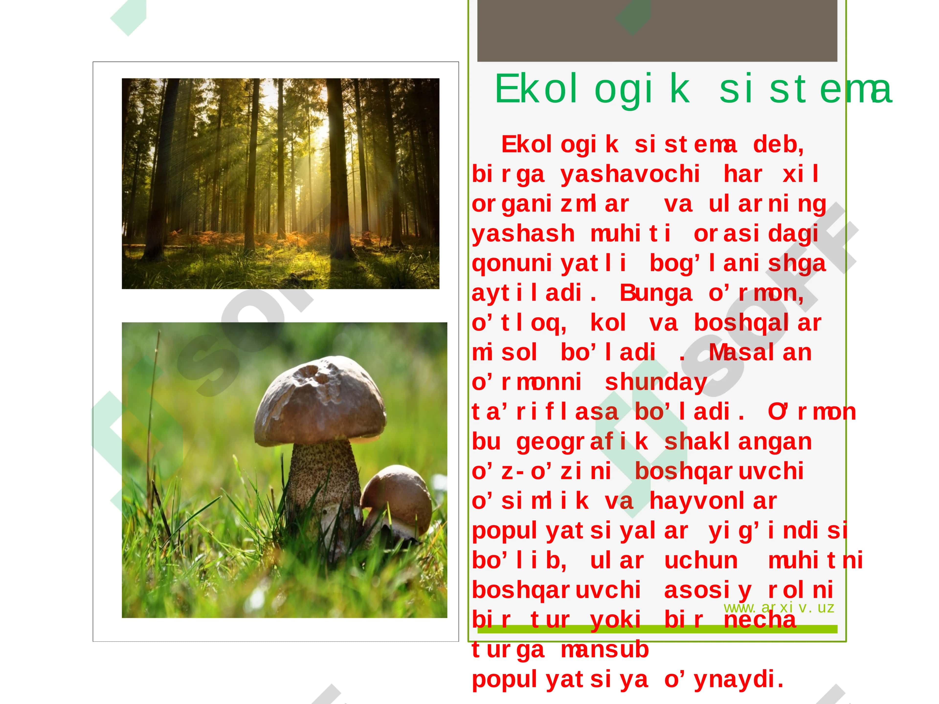 Ekotizmlar sistemasi 2
