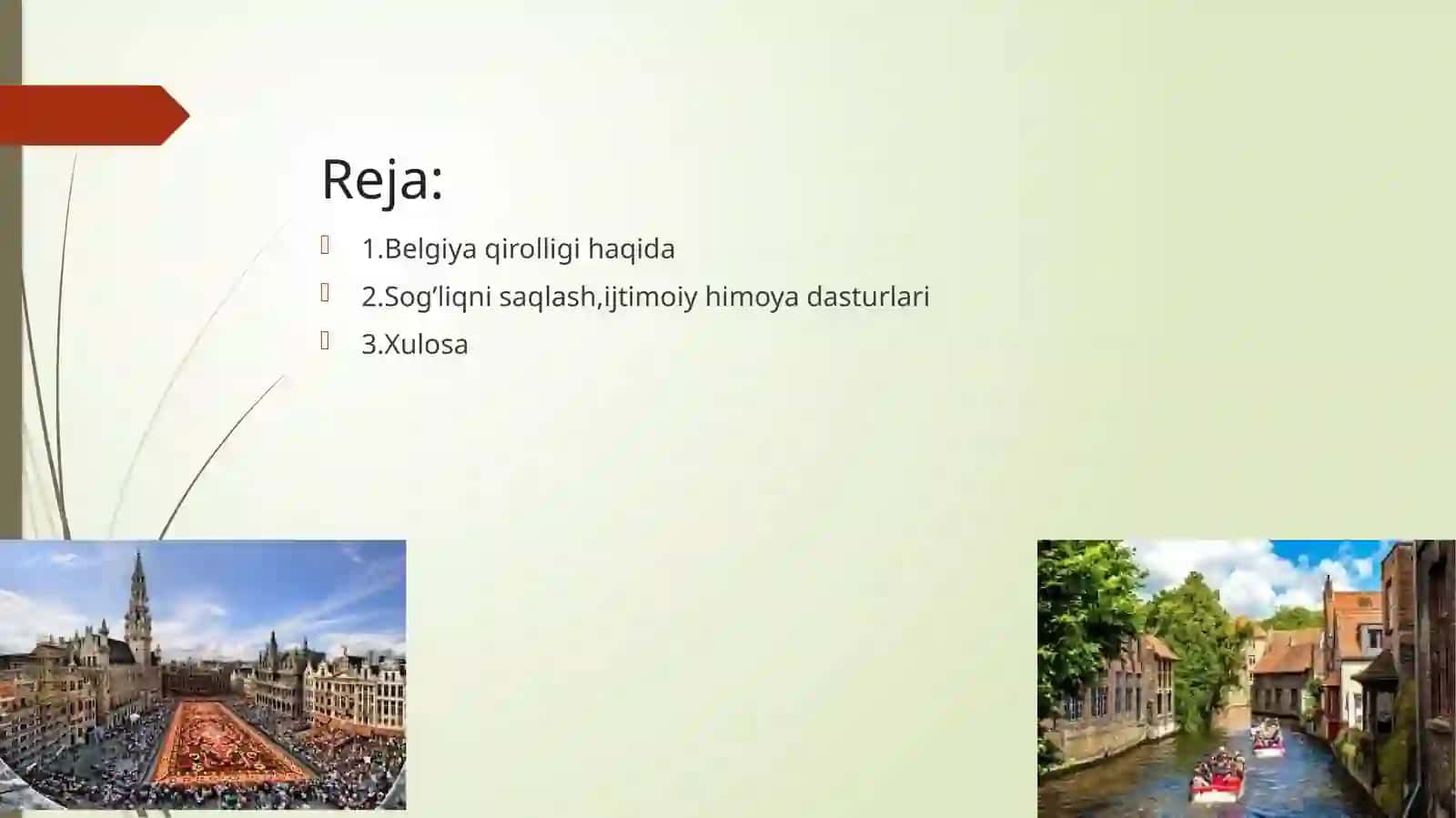 Belgiyaning ijtimoiy siyosati 2