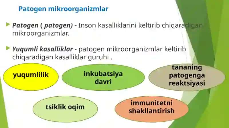 Ichakning yuqumli kasalliklari, zoonozlar, gelmintozlar va ularning oldini olish 2