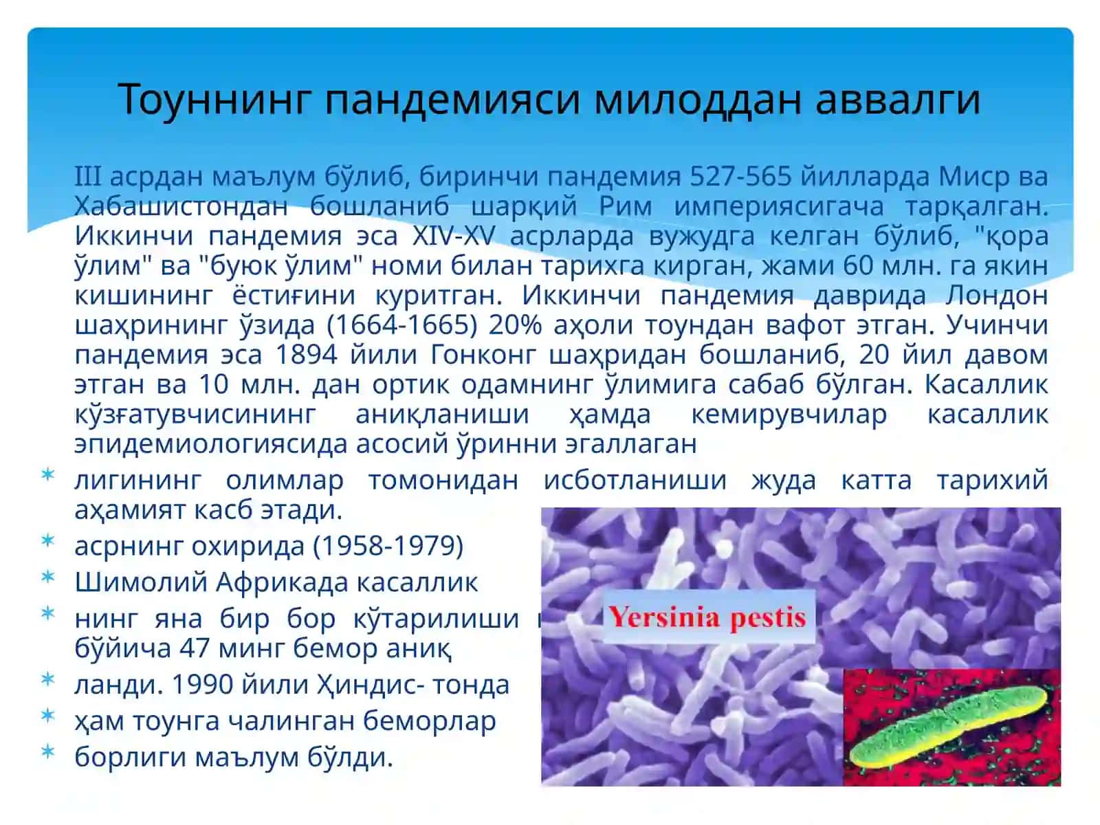 Тоун(ўлат)ўткир,ўтахавфли антрапозооноз инфекция 2