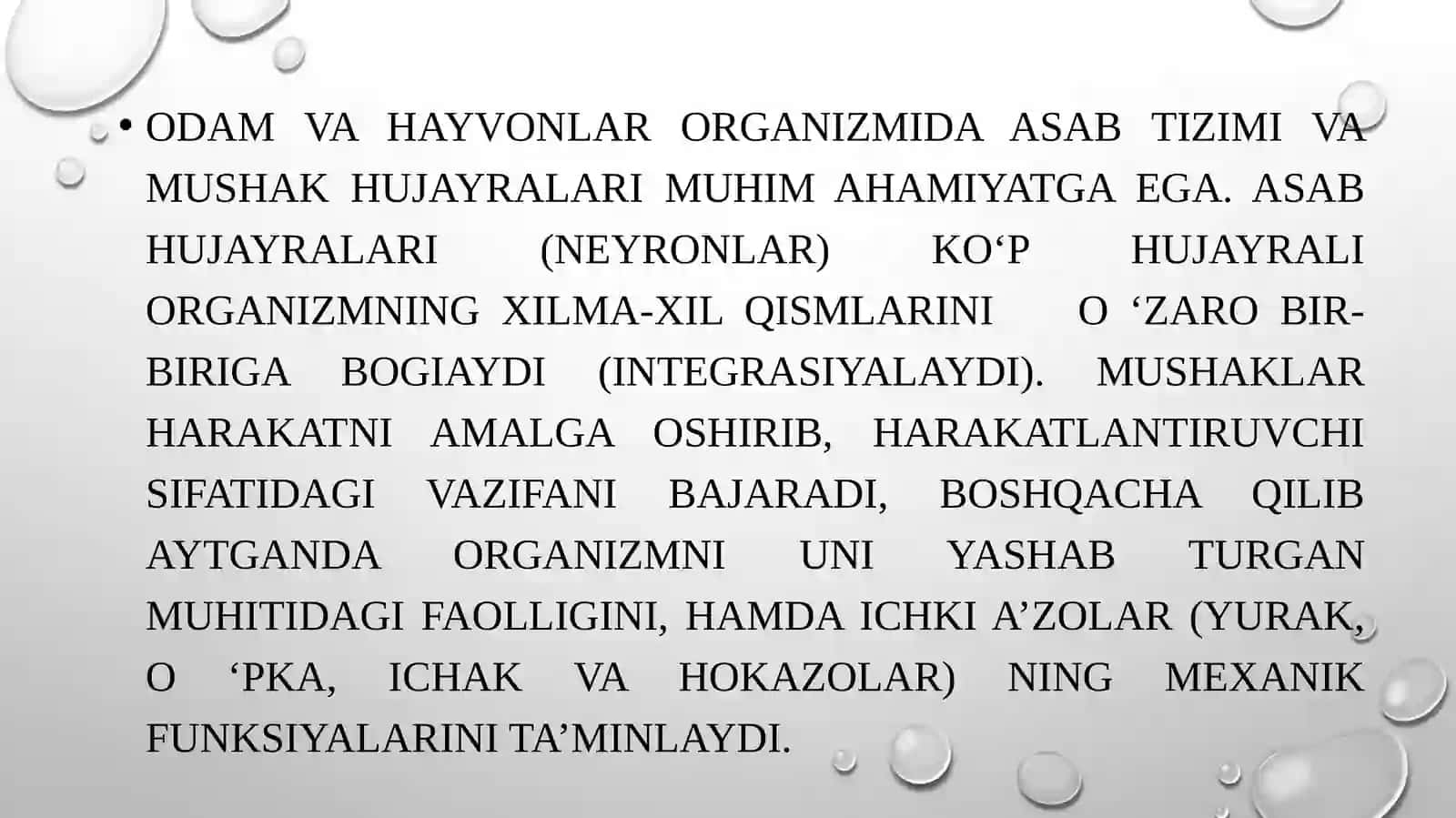 Asabhujayrasining umumiy fiziologiyasi 2