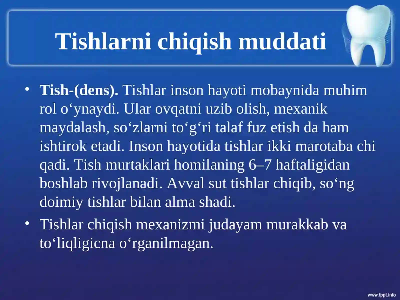 TISH-JAG’ ANATOMIYASI 2