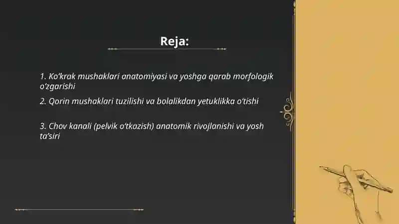 Koʻkrak mushaklari, qorin mushaklari va chov kanali 2