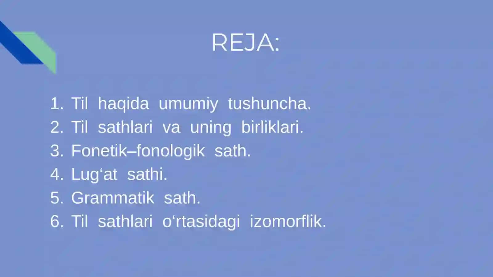 Til sathlari  va sathlarga ajratish tamoyillari 2