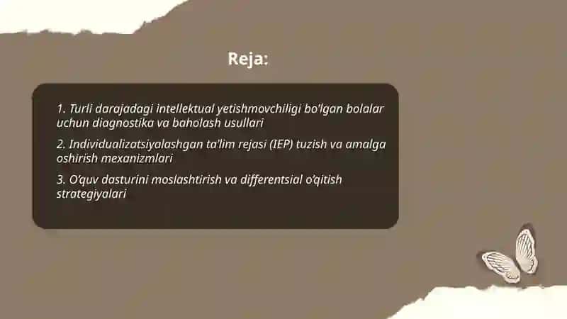 Turli darajadagi intellektual yetishmovchiligi bo’lgan bolalar uchun inklyuziv ta’lim strategiyalari va ularni amalga oshirish shart-sharoitlari 2