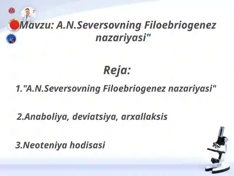 A.N.Seversovning Filoebriogeneznazariyasi 2