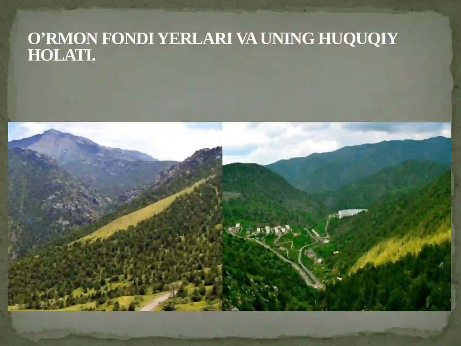 O’rmon fondi, suv fondi va zaxira yerlarning huquqiy holati 2