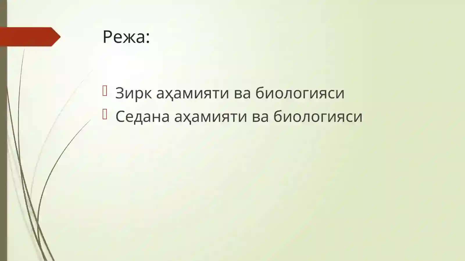 Зирк ва седананинг аҳамияти, биологияси 2