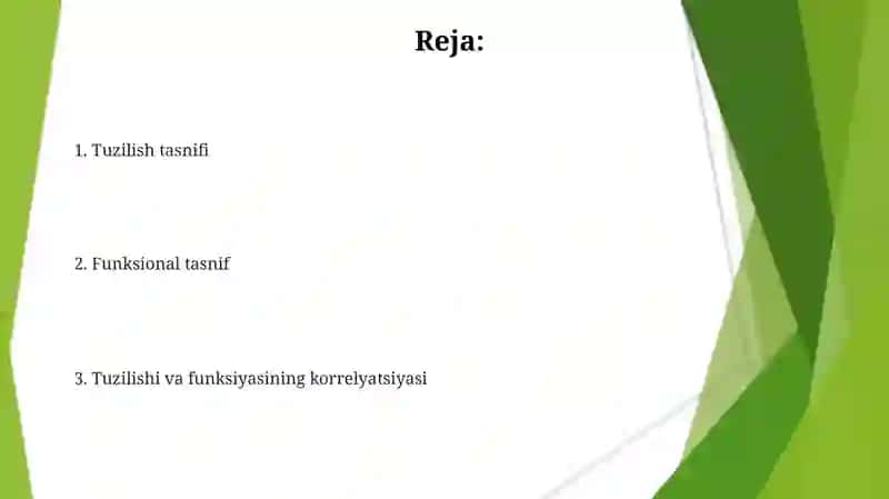 Tam bilish azosining morfofunksional tasnifi 2