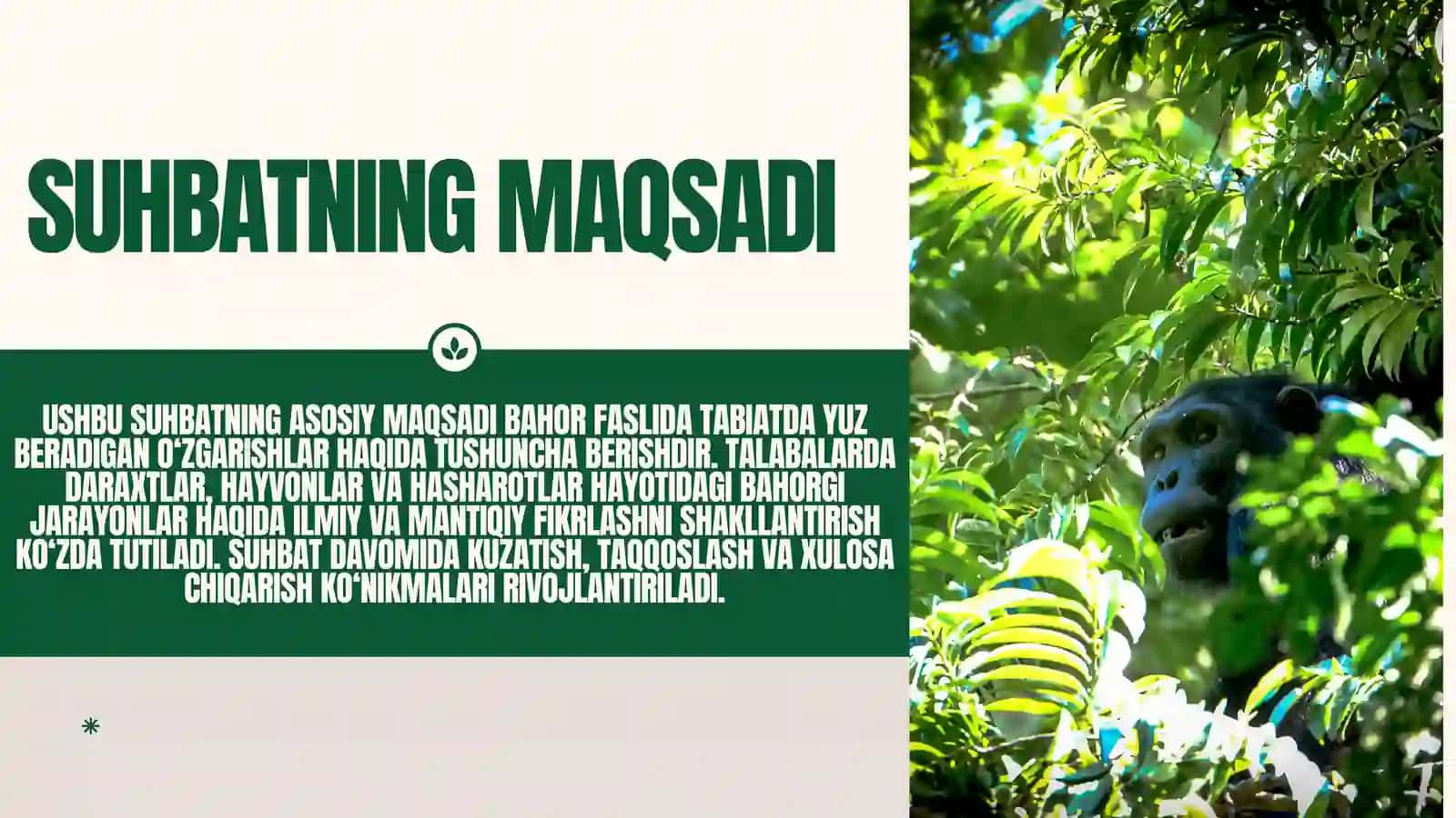 BAHORDA DARAXTLARNING UYG‘ONISHI, HAYVONLAR VA HASHAROTLAR HAQIDA SUHBAT 2