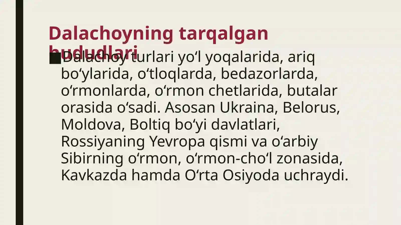 Dalachoyning o’simligining dorivorlik xususiyatlari 2