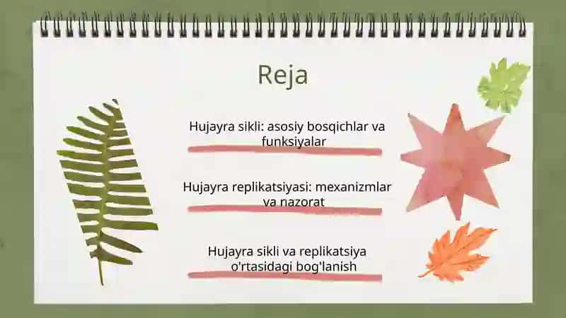 Hujayra sikli va hujayra replikatsiyasi boshqaruv mexanizmi 2