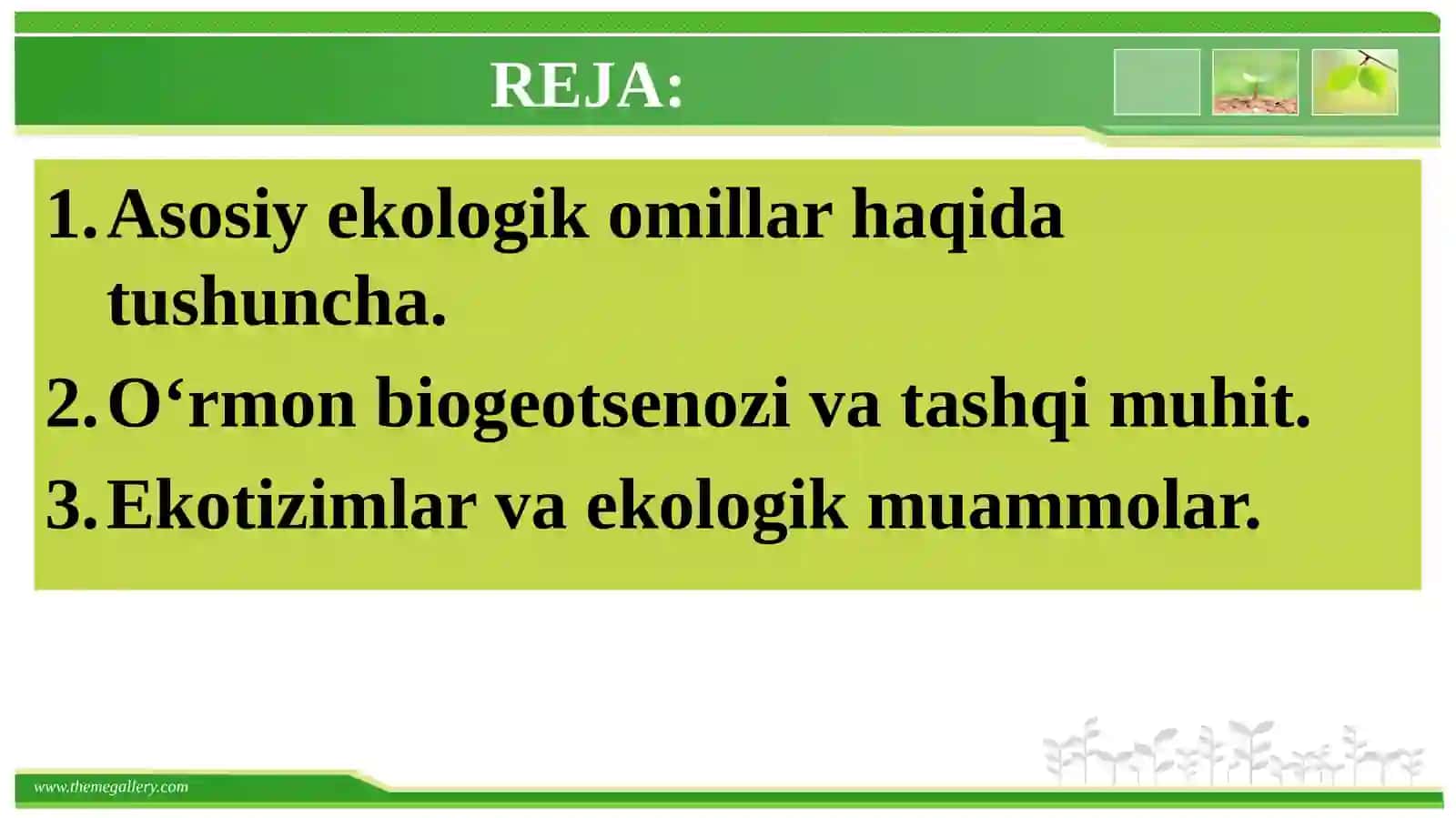 O‘rmonlar shakllanishida ekologik omillarning о‘rni 2