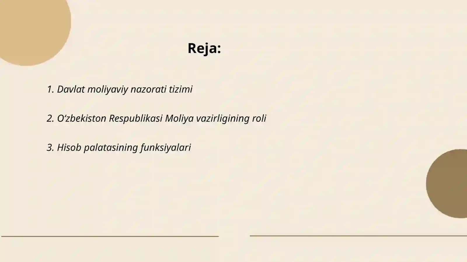 Davlat moliyaviy nazorati tizimi 2
