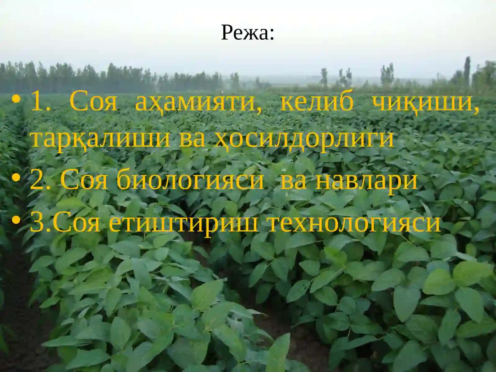 Сояни такрорий экин сифтаида етиштириш технологияси 2