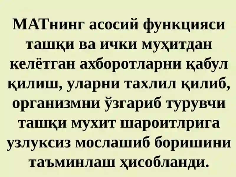 МАТ фаолиятининг рефлектор тамойилари. Асаб марказларнинг хоссалари 2