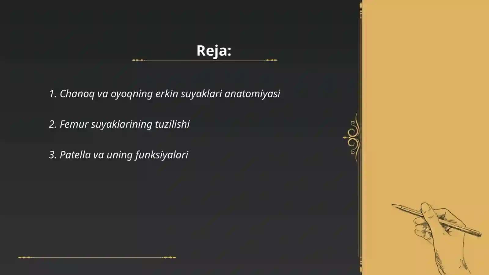 Chanoq kamari va Oyoqning erkin suyaklari 2