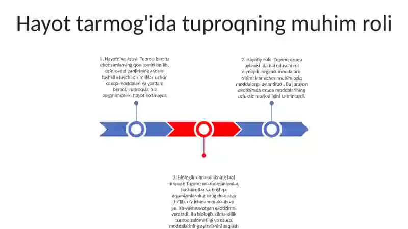Tabiat Va Jamiyat Hayotida Tuproqning Ahamiyati 2