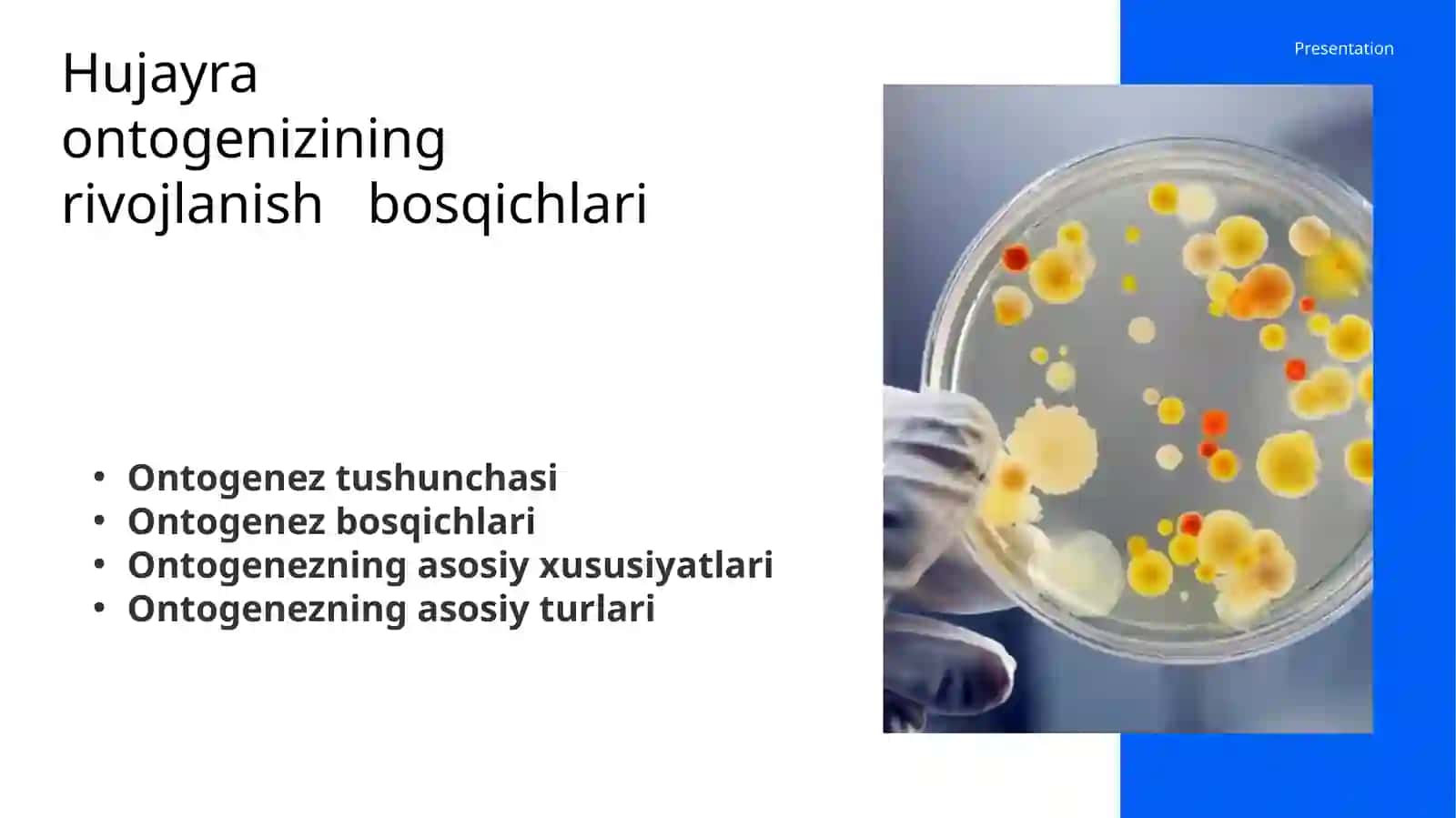 Hujayra ontogenizining rivojlanish bosqichlari 2