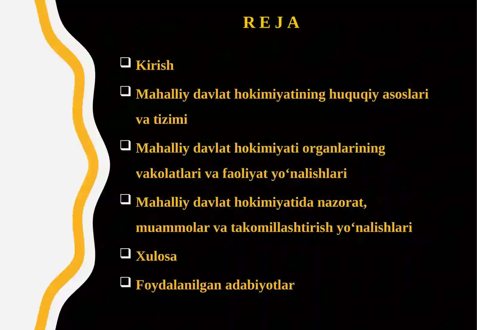 Mahalliy davlat hokimiyati asoslari. 2