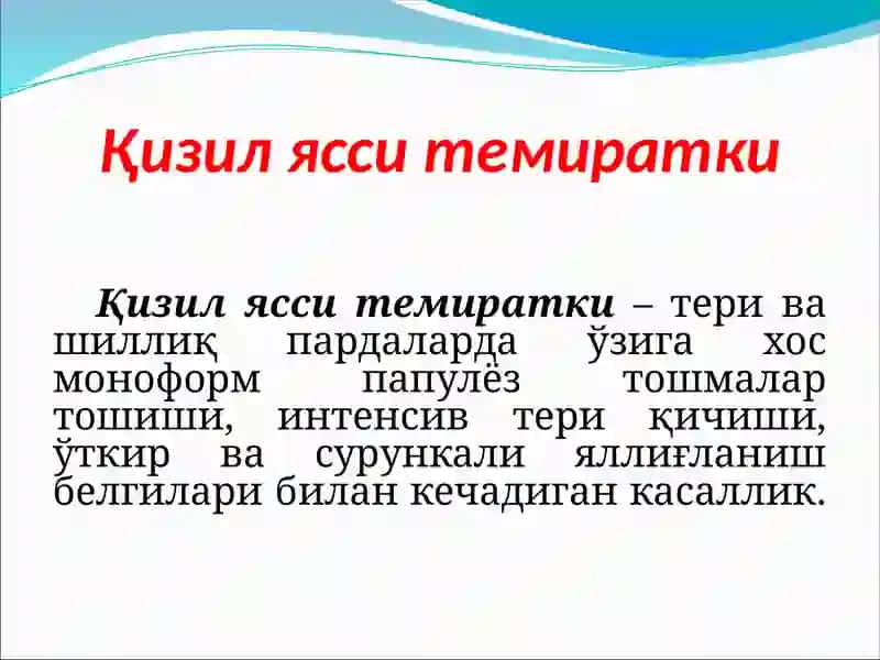 Qizil yassi temiratki 2