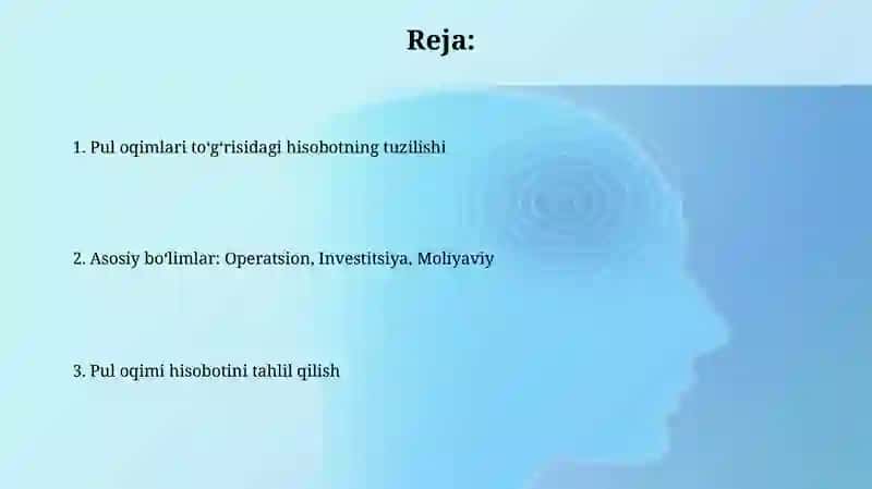 Pul oqimi to'g'risidagi hisobotning tuzilish 2