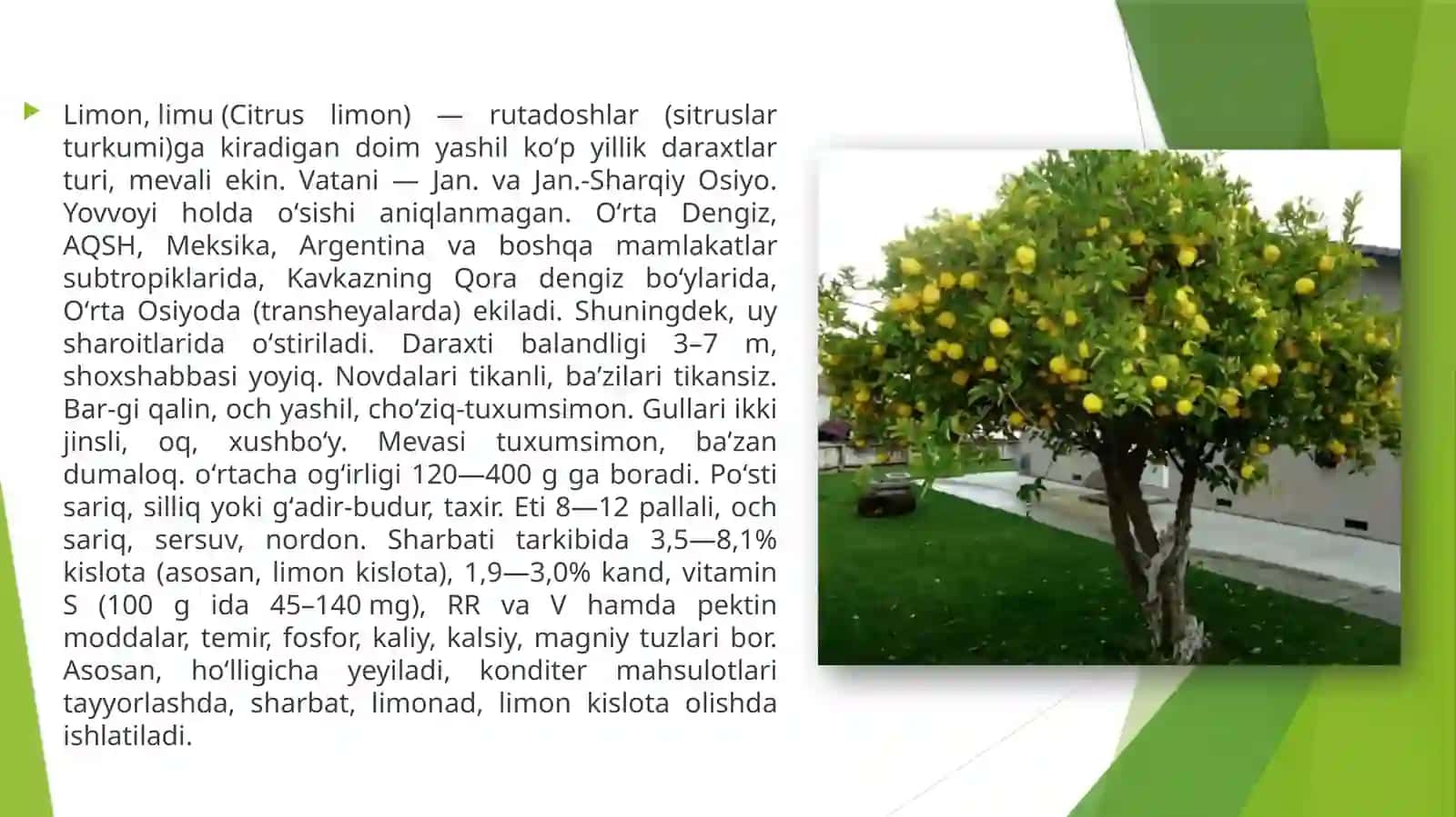 Lemonfestivali 2