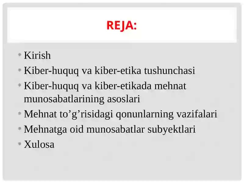 KIBER-HUQUQ VA KIBER-ETIKADA MEHNAT MUNOSABATI 2