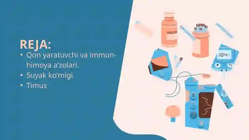 Qon yaratuvchi va immun-himoya a’zolari 2