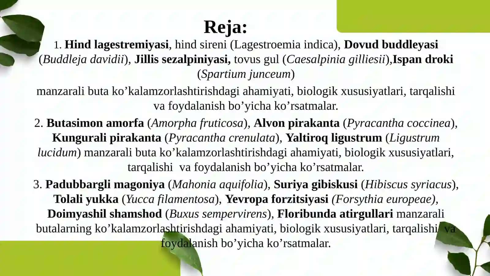 MANZARALI BOG`DORCHILIKDA KENG QO`LLANILADIGAN BUTALAR 2