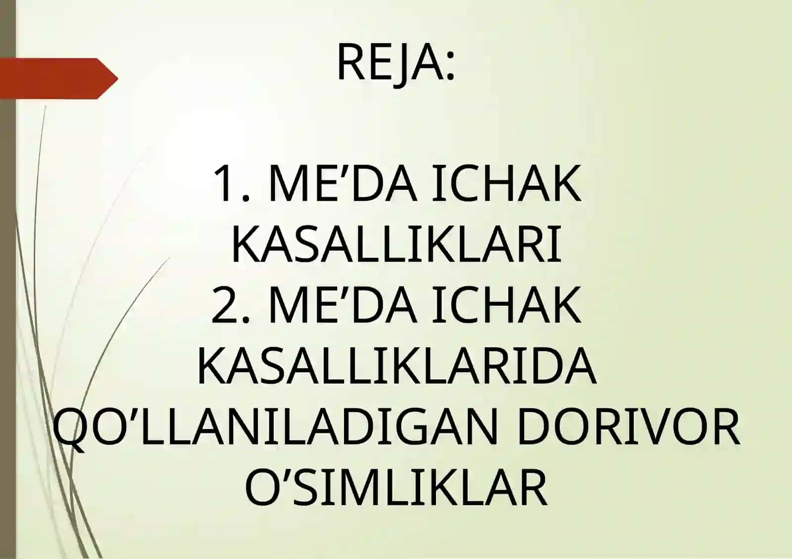 DAVLAT TABIIY FANLAR FAKULTETI BIOLOGIYA TA’LIM YO’NALISHI 2