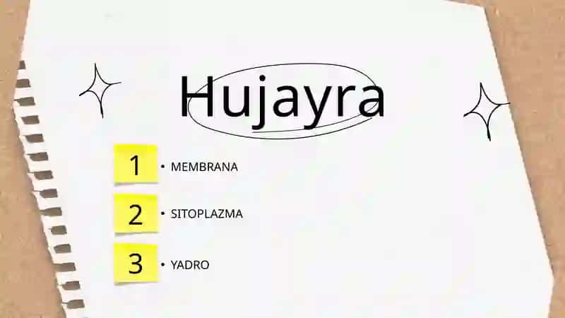 MEMBRANA 2