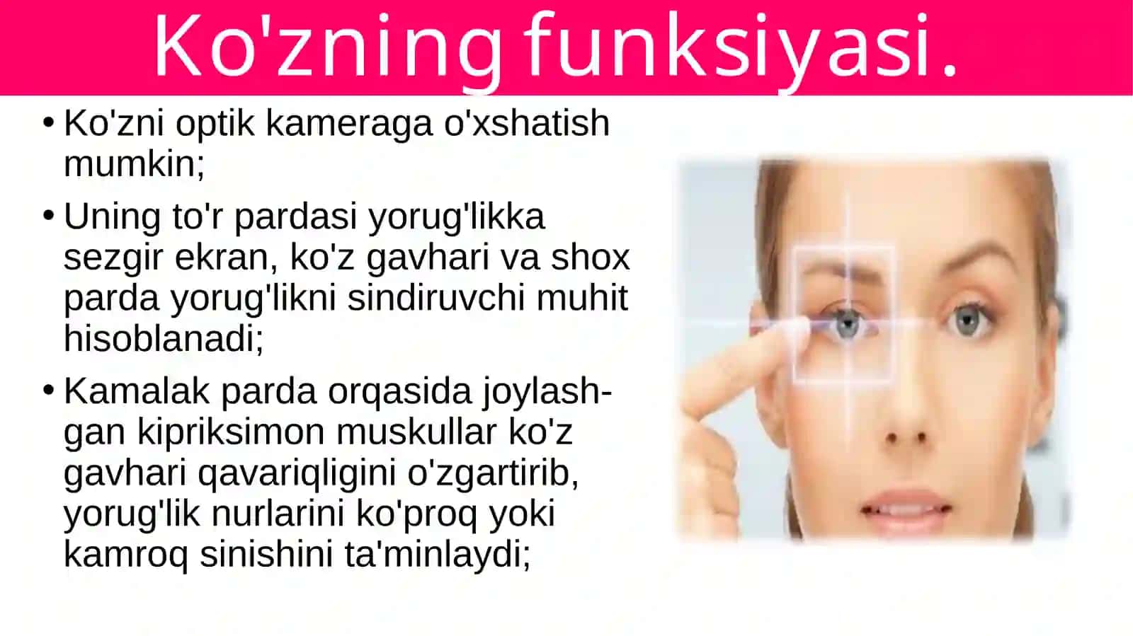 Ko'rishorganlarining funksiyasi 2