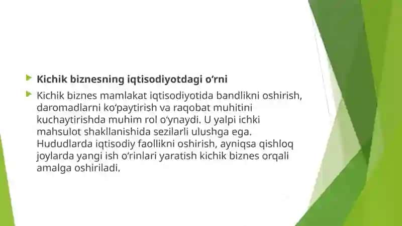 Kichik biznes va xususiy tadbirkorlik 2