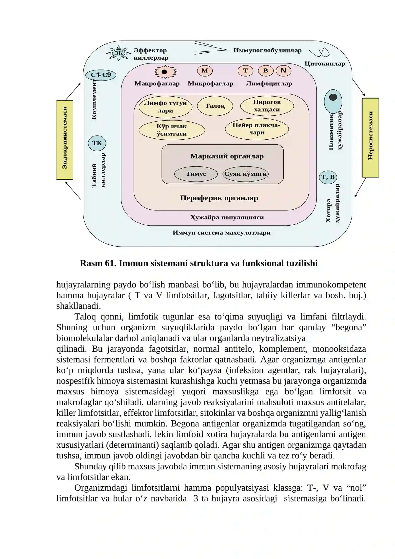 Adaptiv immunitet. T va B limfotsitlar va ularning subpopulyasiyasi. CD-markyorlar. Gumoral va hujayra tipidagi immun reaksiyalar mexanizmlari. T- va B- limfotsitlarga laboratoriya usullarida baho berish 2