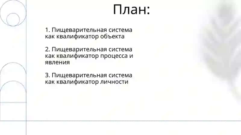 Система пищеварения описание 2