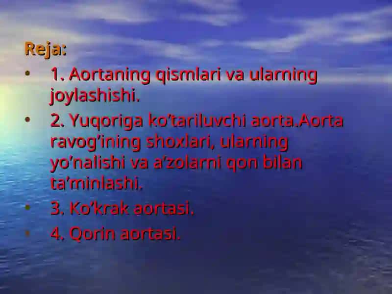 AORTA qon tomiri 2