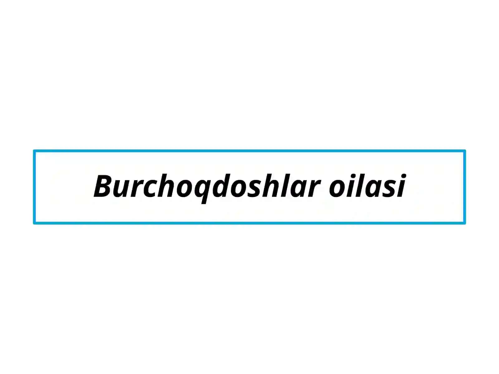Burchoqdoshlar va tutdoshlar oilalari vakillarining dorivorlik xususiyatlari 2